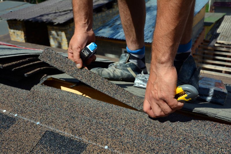 Precise Shingle Replacement