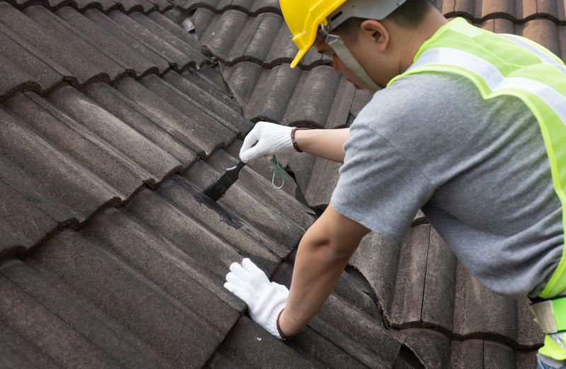 Customer consulting a roofing expert